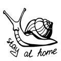 Snail with the inscription ` stay at home`